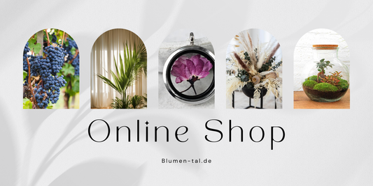 Pflanzen Online-Shop