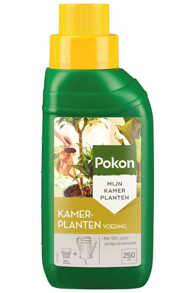 250ml