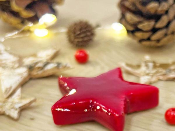 Weihnachten - Terrarium Deko