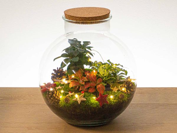 Weihnachten - Terrarium Deko