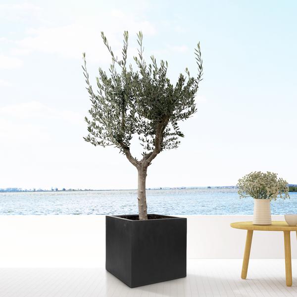Block Black Topf - S - D30 x H30
