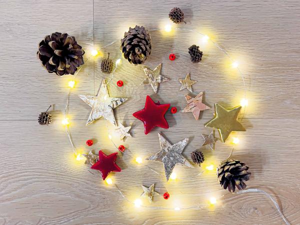Weihnachten - Terrarium Deko