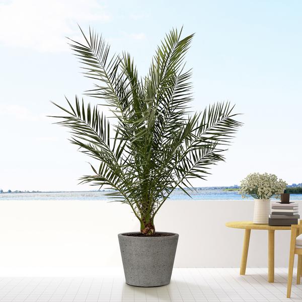 Topf Grau - L - 58x50
