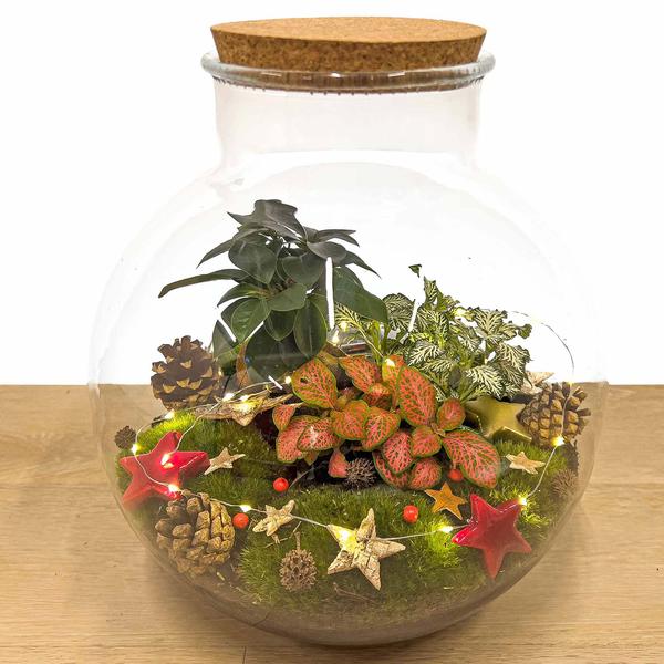 Weihnachten - Terrarium Deko