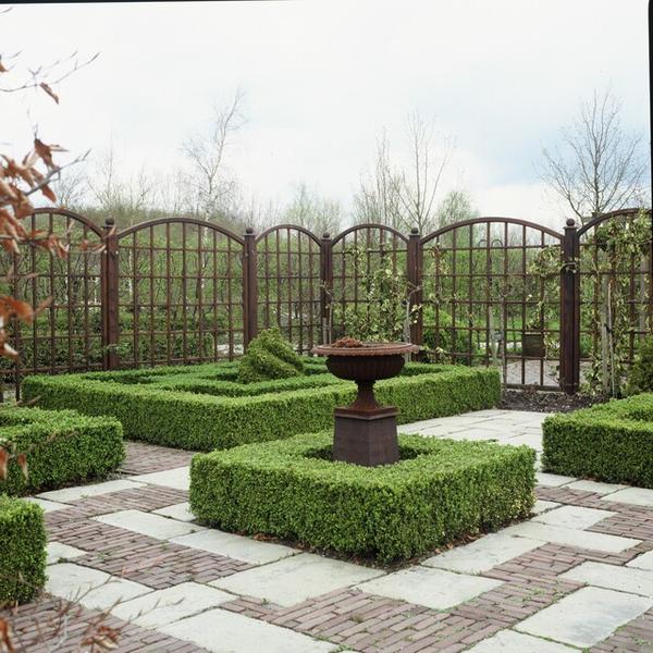 Buxus Sempervirens - ↕10-25cm - Ø9cm - 40x