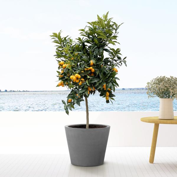 Topf Grau - L - 68x60