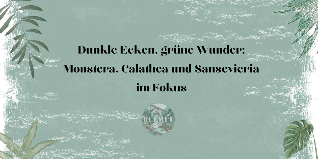 Die besten Schattenpflanzen für dunkle Räume