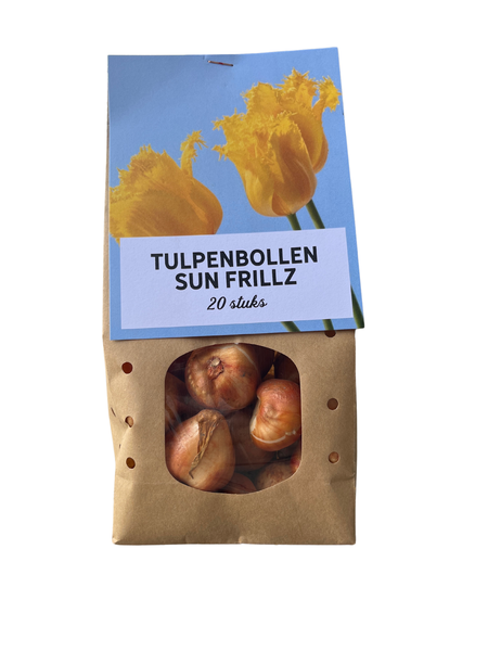Sun Frillz - Tulpenbollen 20 stück