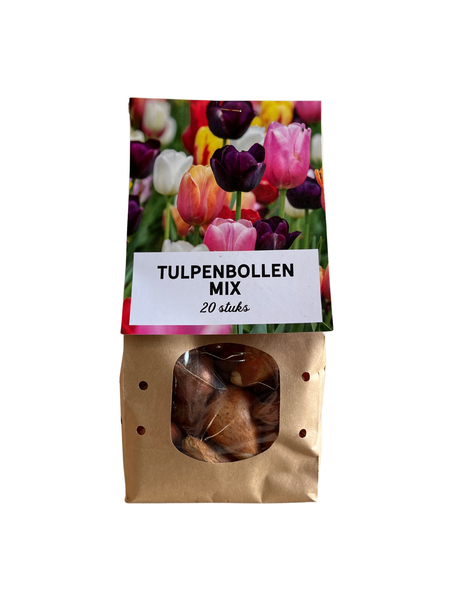 Tulpen Mix - Tulpenbollen 20 Stück