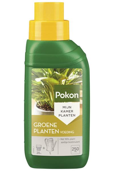 Grünpflanzenfutter 250 ML