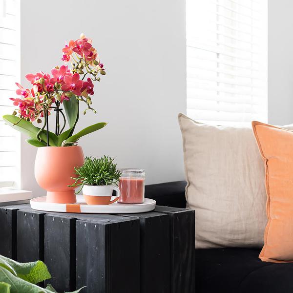 Kolibri Home | Scandic Terrakotta Blumentopf - Terrakotta farbiger Keramik Ziertopf - Ø9cm