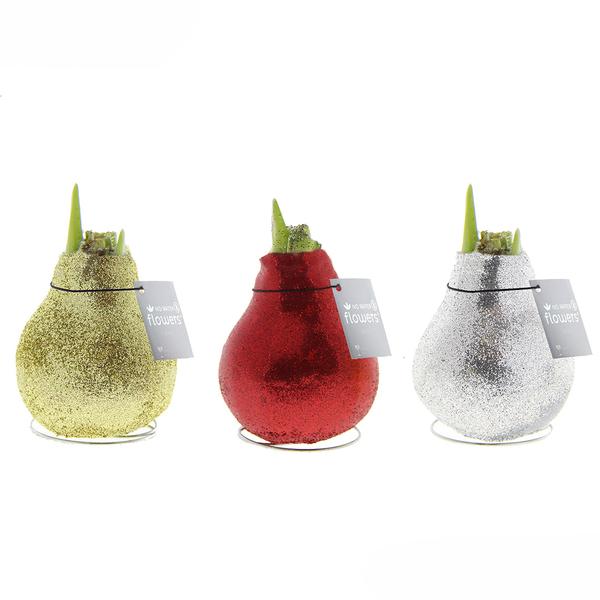 Ohne Wasser Blumen (wax amaryllis)  XMAS Glitzer mix - 3er set + Rote Blumen