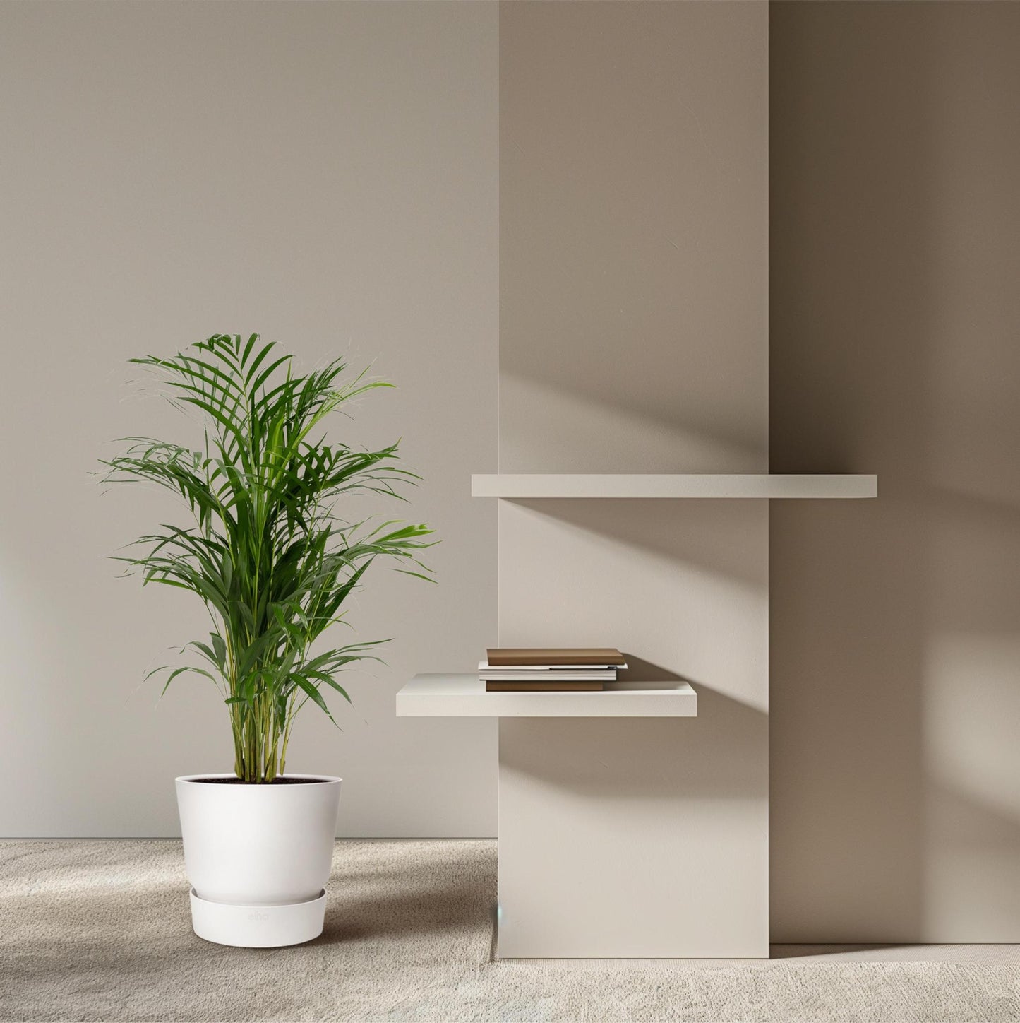 Areca-Palme - 85 cm hoch - Topfgröße Ø19 cm - Exotische Zimmerpflanze für tropisches Flair