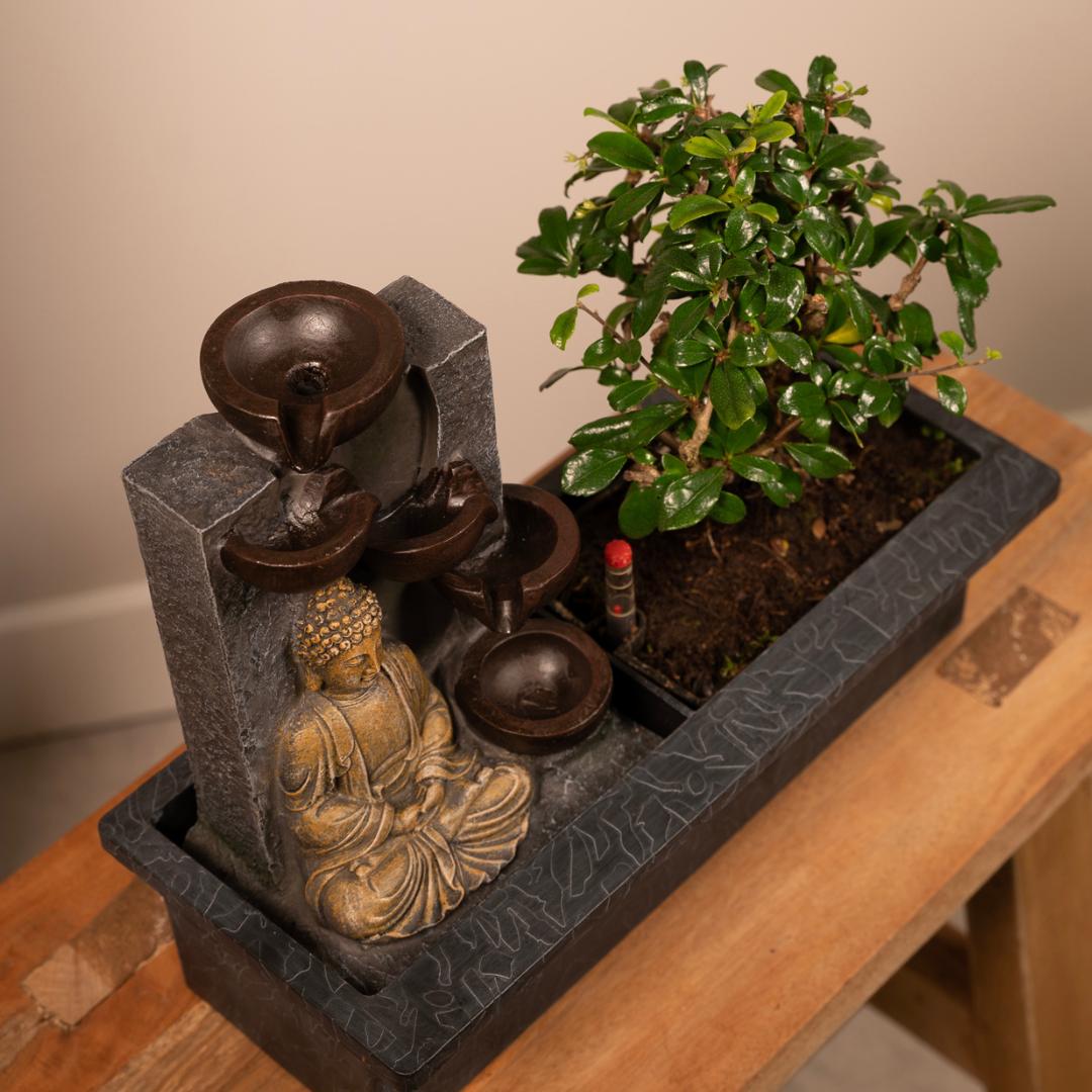 Bonsai Wasserbrunnen (Buddha)- Ø15cm - ↕30cm