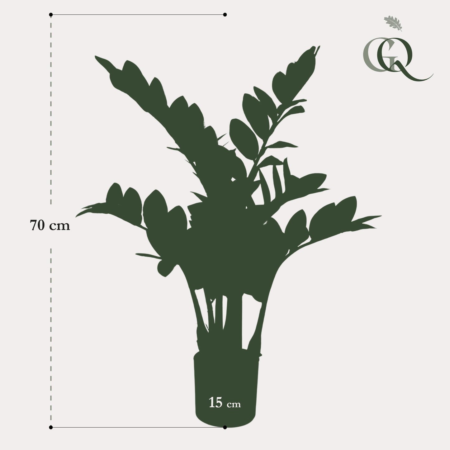 Kunstpflanze Zamioculcas - Zimmerpalme - 70 cm