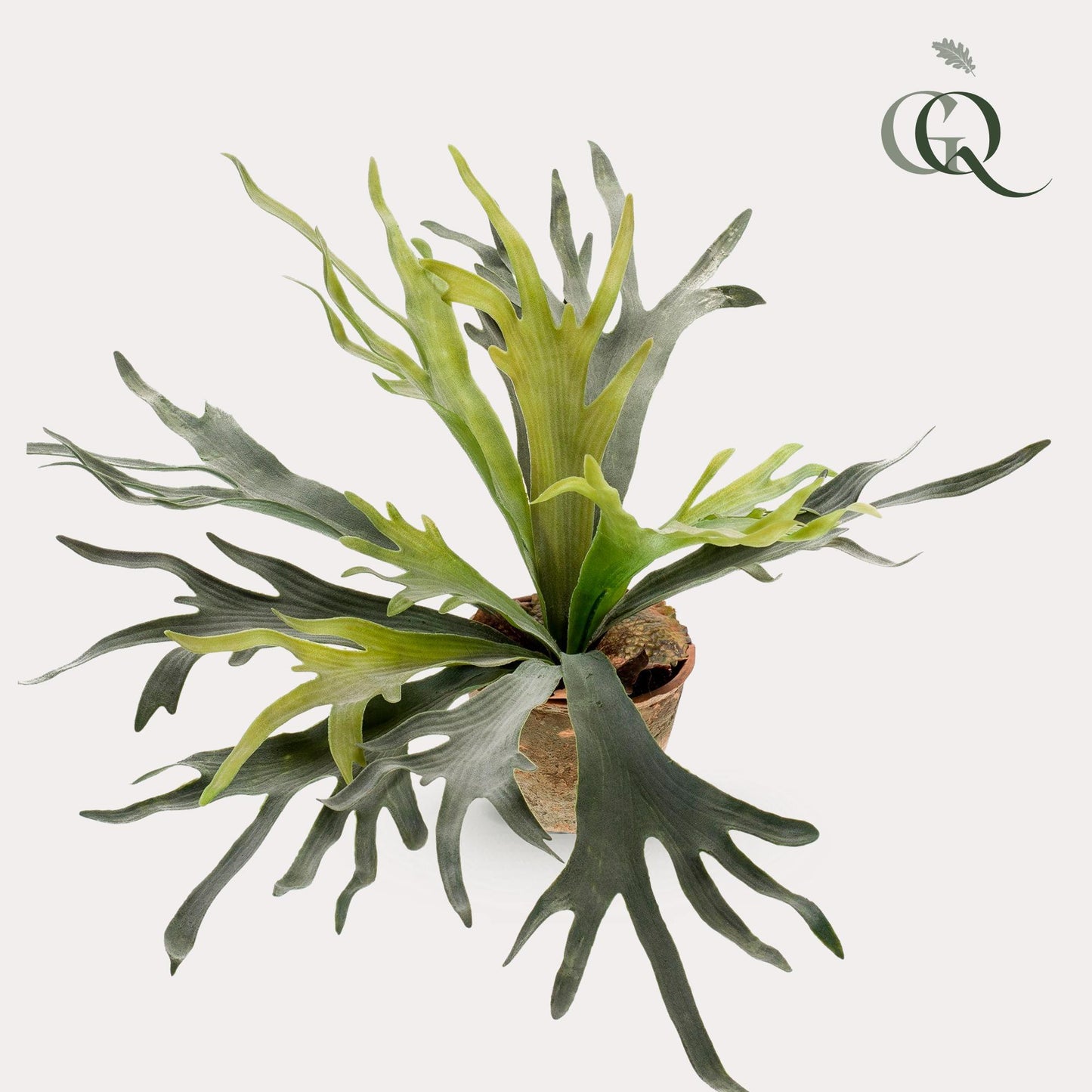 Kunstpflanze - Staghorn Farn - Geweihfarn - 50 cm