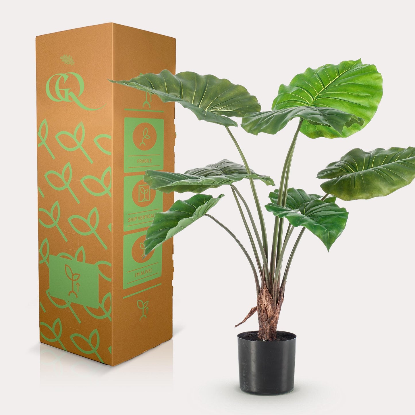 Kunstpflanze Alocasia - 70 cm Höhe - Kompakte Kunstpflanze für stilvolle Innenräume