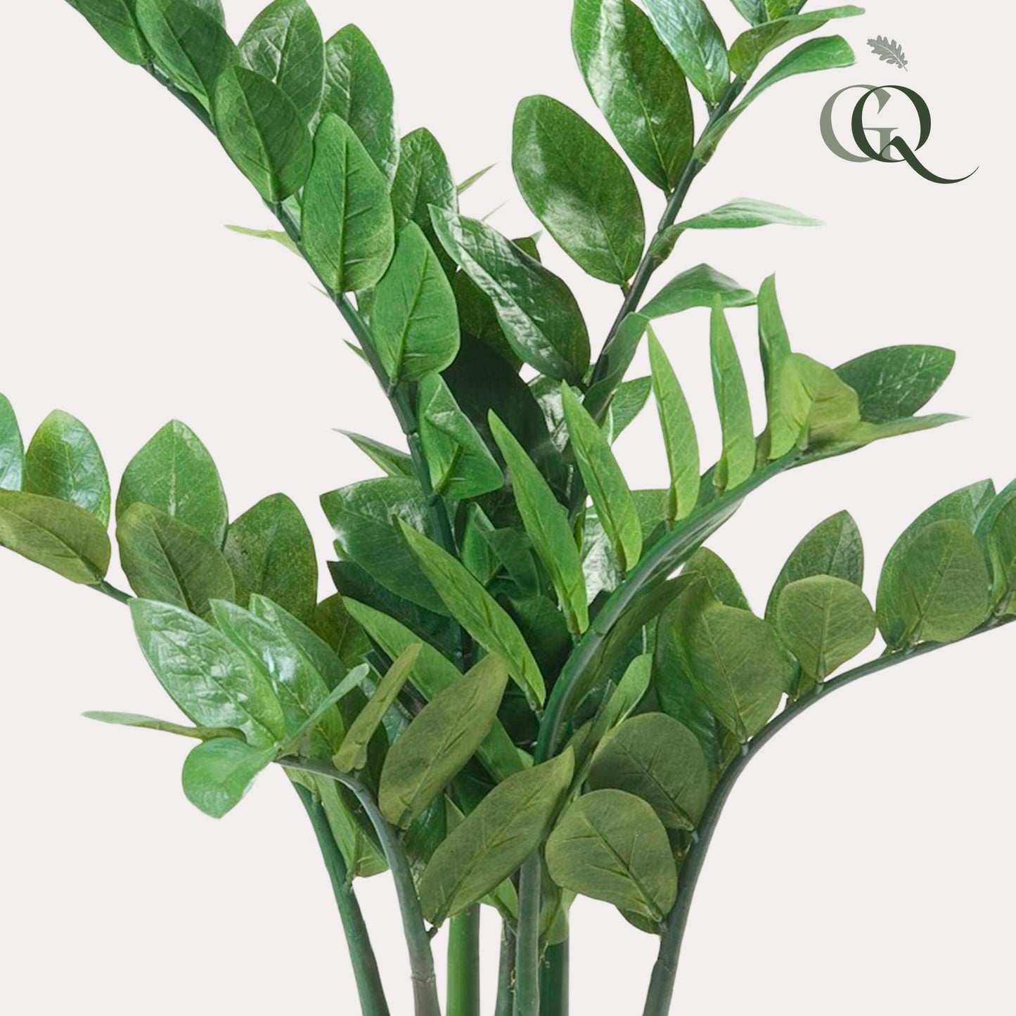 Kunstpflanze Zamioculcas - Zimmerpalme - 70 cm