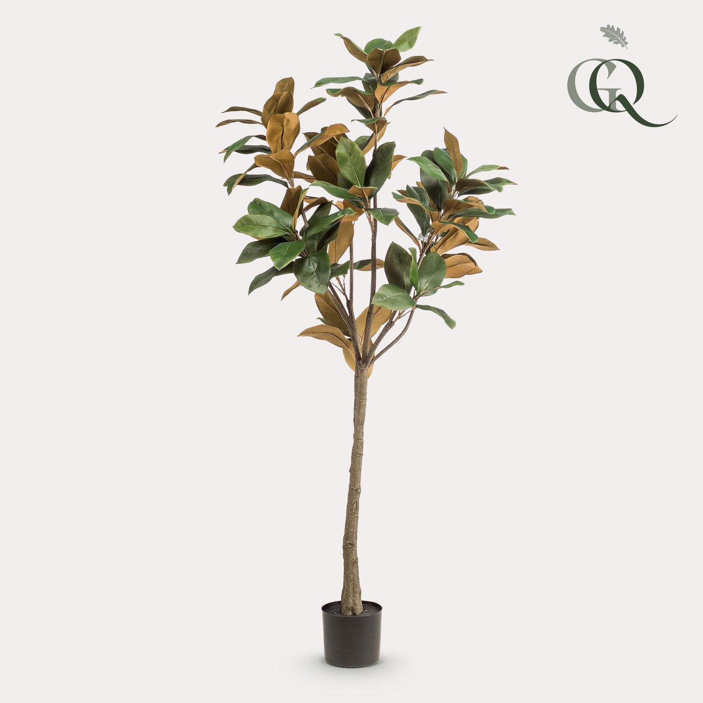 Kunstpflanze Magnolia Grandiflora - 150 cm Höhe - Pflegeleichte Magnolia für stilvolle Innenräume