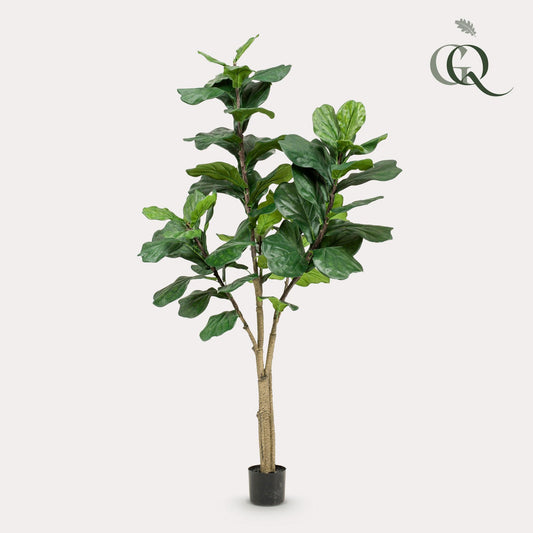 Kunstpflanze Ficus Lyrata - Tabakspflanze - 180 cm Höhe - Pflegeleichte Kunstpflanze für große Innenräume