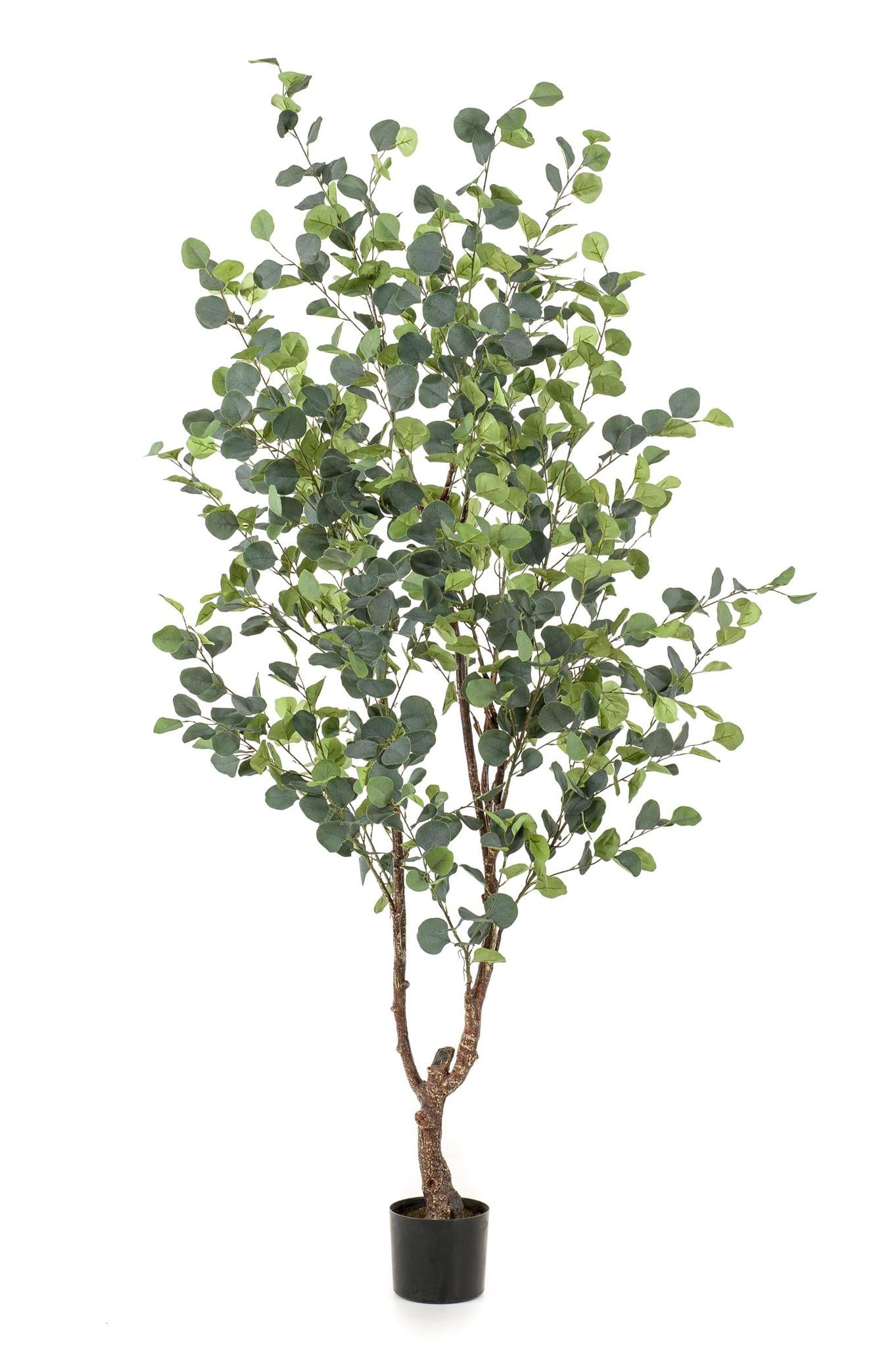 Kunstpflanze Eucalyptusbaum - Blauer Gummibaum - 180 cm Höhe - Pflegeleichte Kunstpflanze für stilvolle Innenräume