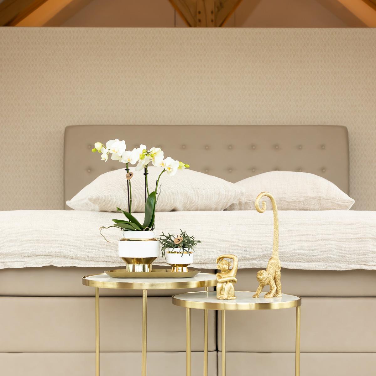 Kolibri Home | Le Chic Blumentopf - Weißer dekorativer Keramiktopf mit goldenen Details - Ø6cm