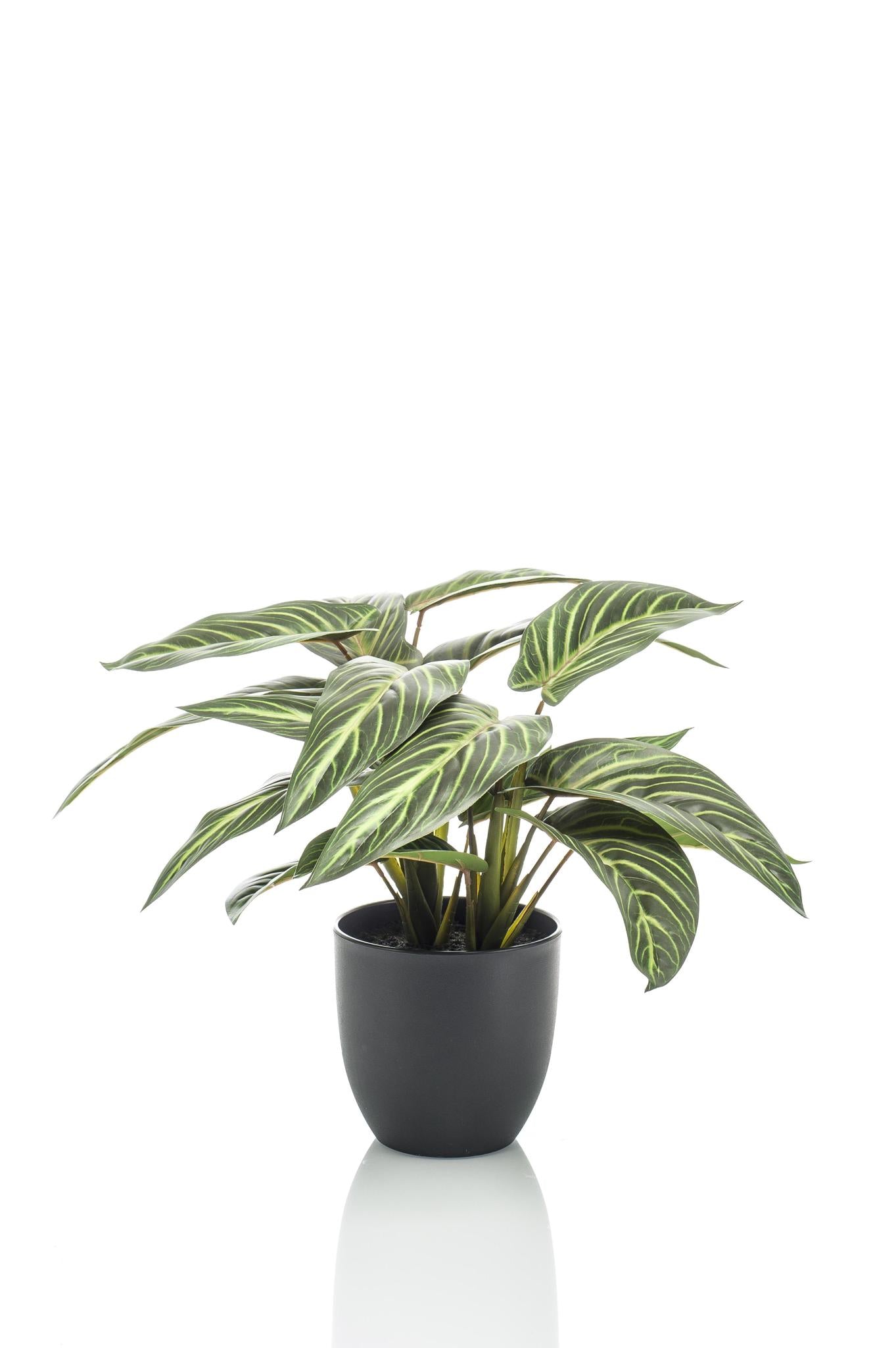 Kunstpflanze - Calathea Zebrina - 38 cm