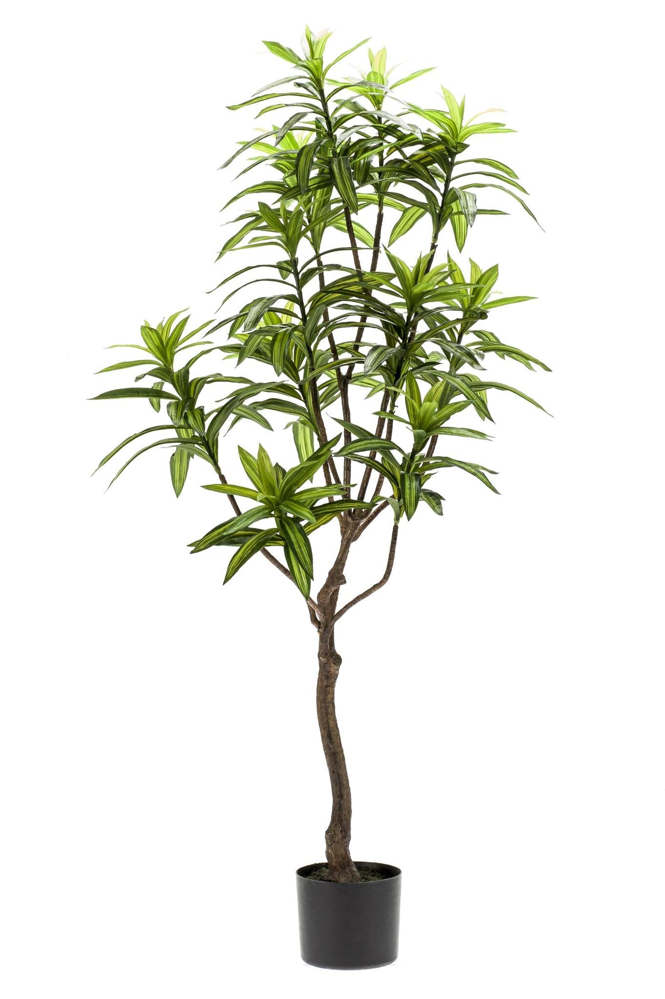 Kunstpflanze Dracaena - Drachenbaum - 130 cm Höhe - Pflegeleichte Kunstpflanze für elegante Innenräume