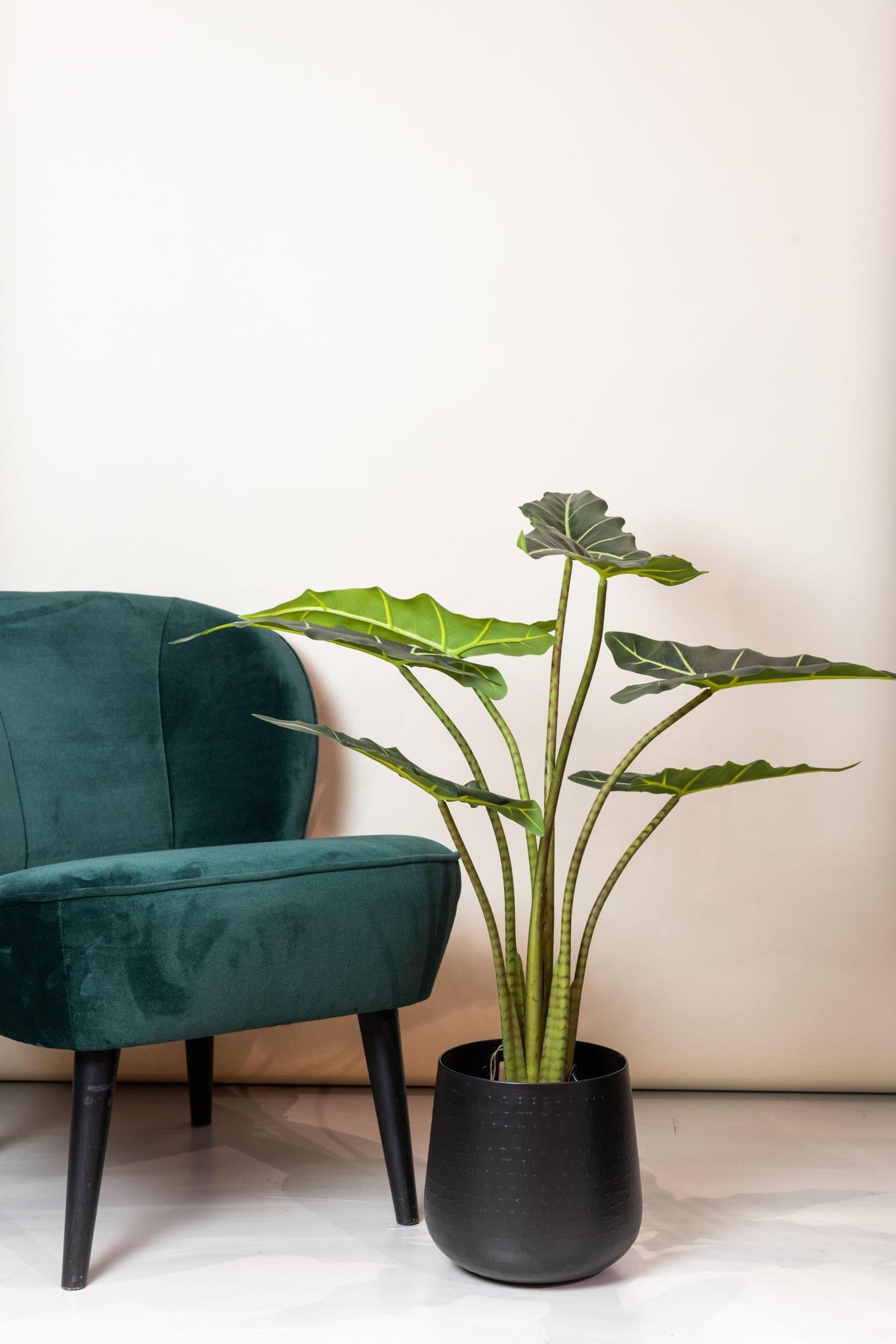 Kunstpflanze Alocasia Frydek - 90 cm Höhe - Stilvolle Kunstpflanze für elegante Innenräume