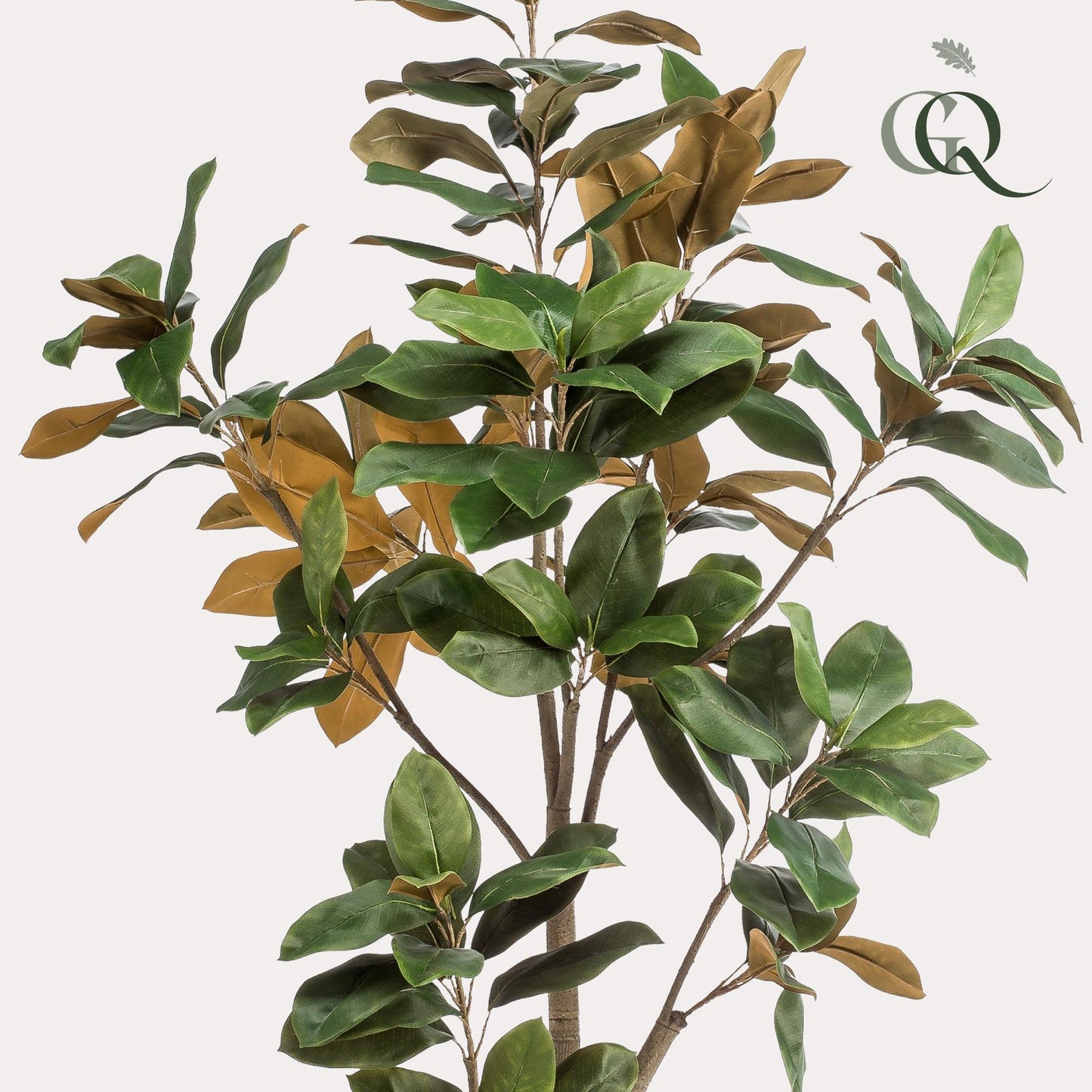 Kunstpflanze Magnolia Grandiflora - 180 cm Höhe - Pflegeleichte Magnolia für beeindruckende Innenräume