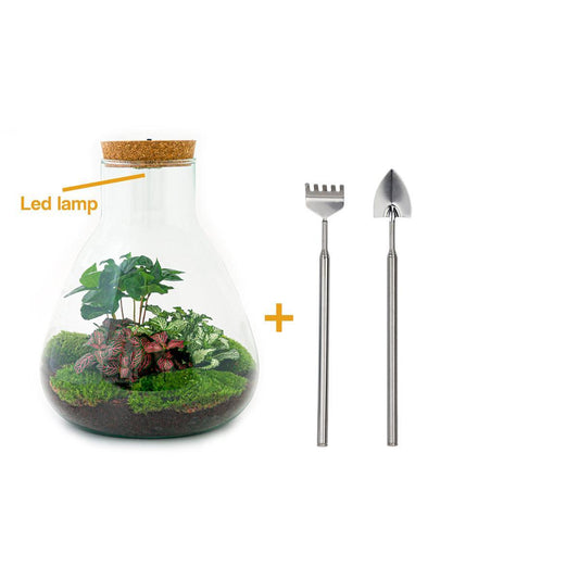 Flaschengarten - Sam mit Lampe - ↕ 30 cm - Rake + Shovel