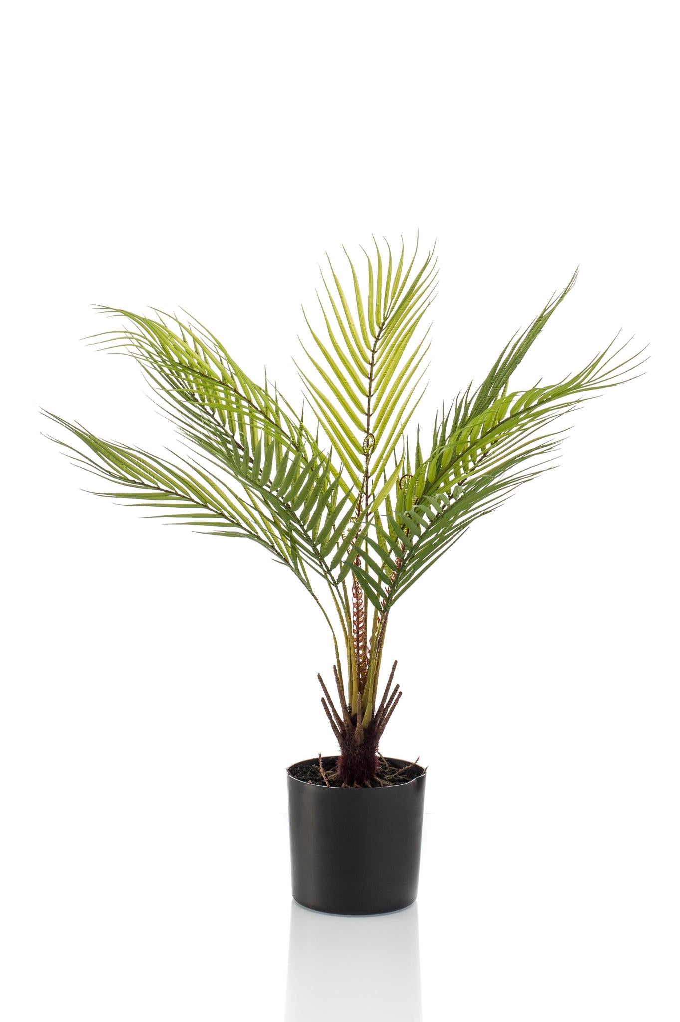 Kunstpflanze Chamaedorea Elegans - Bergpalme - 50 cm Höhe - Kleine Deko-Palme für Innenräume