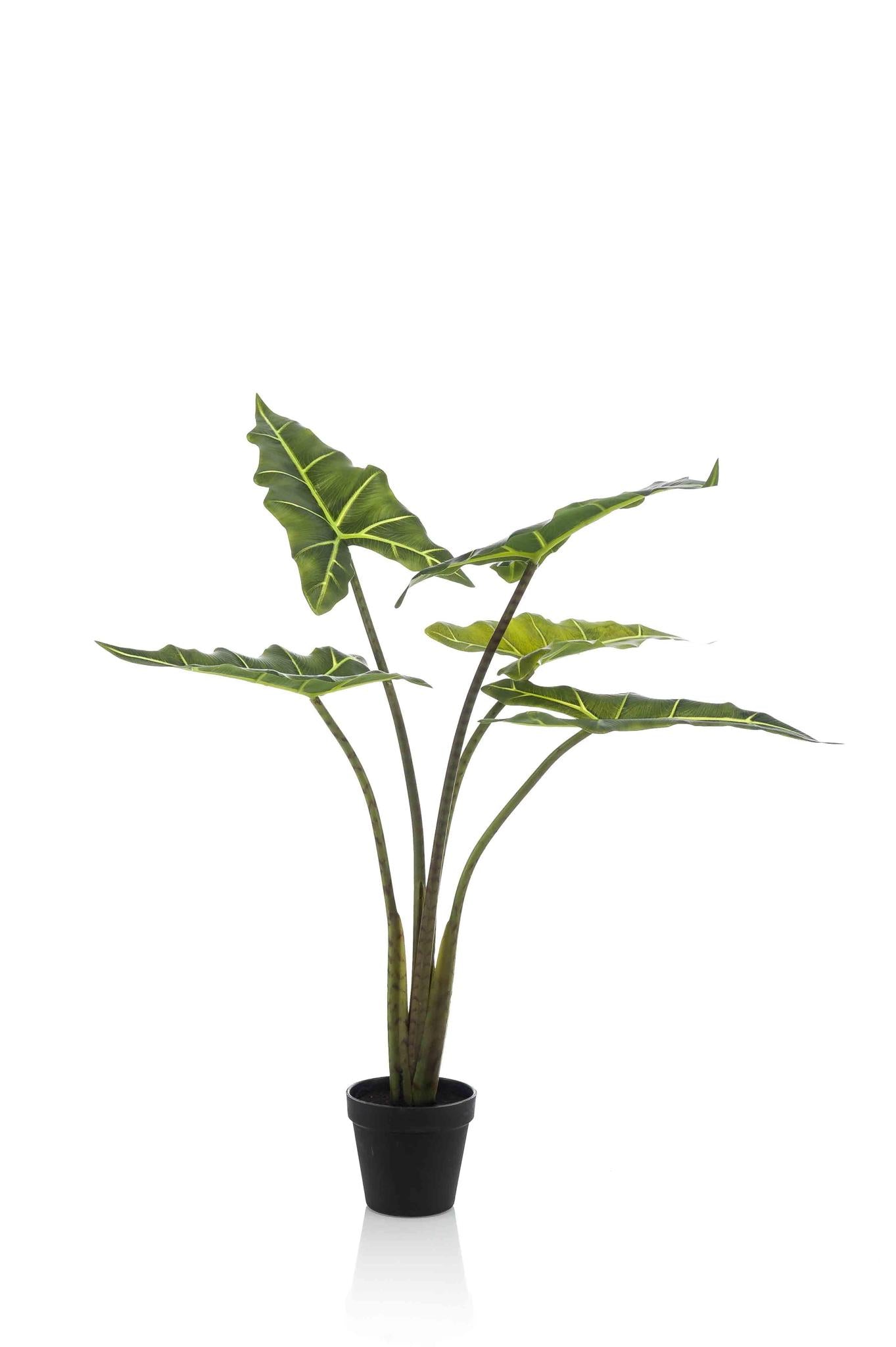 Kunstpflanze Alocasia Frydek - 80 cm Höhe - Elegante Kunstpflanze für moderne Innenräume