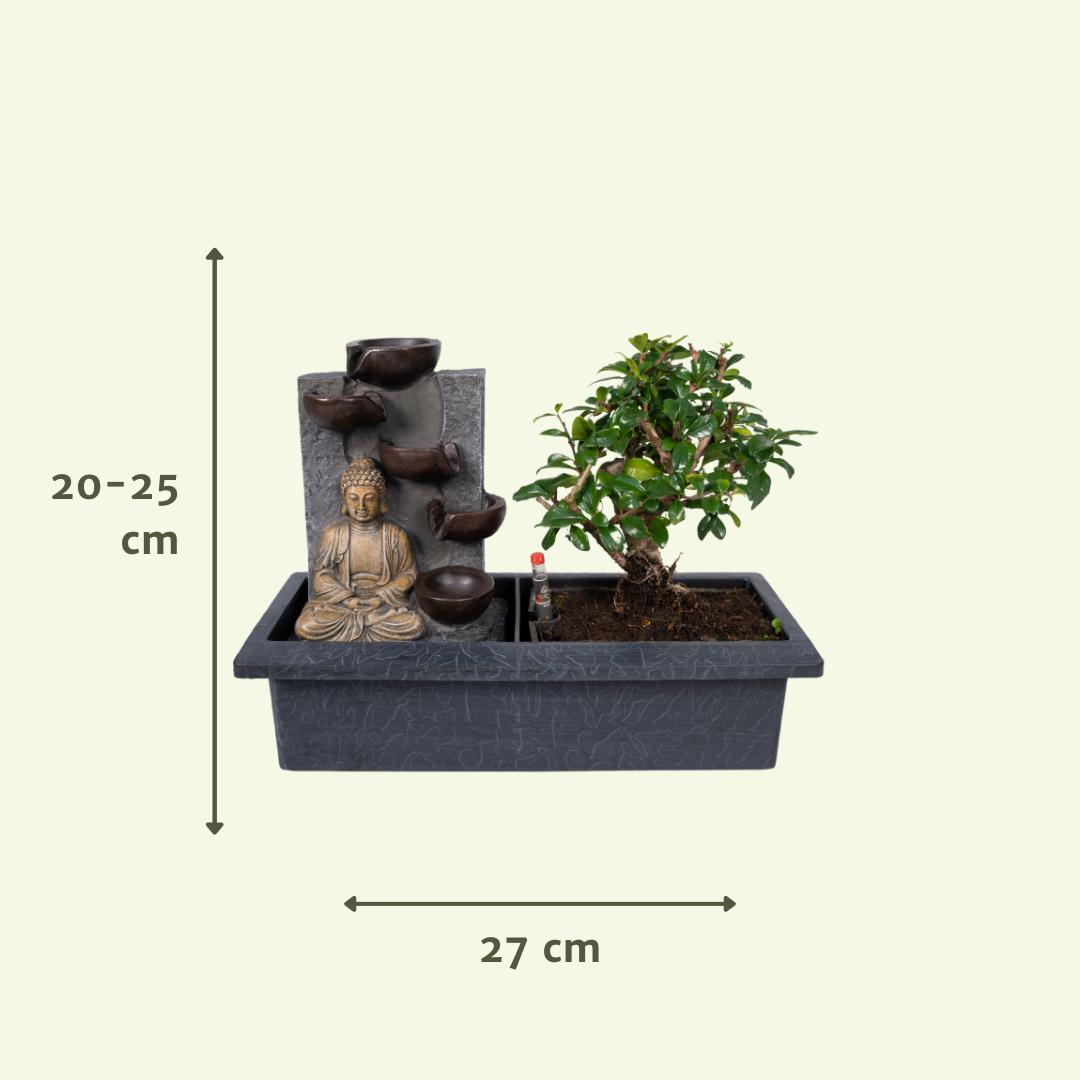 Bonsai Wasserbrunnen (Buddha)- Ø15cm - ↕30cm