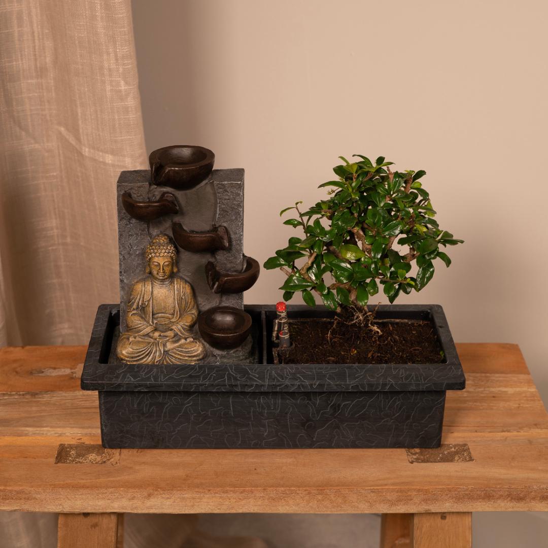 Bonsai Wasserbrunnen (Buddha)- Ø15cm - ↕30cm