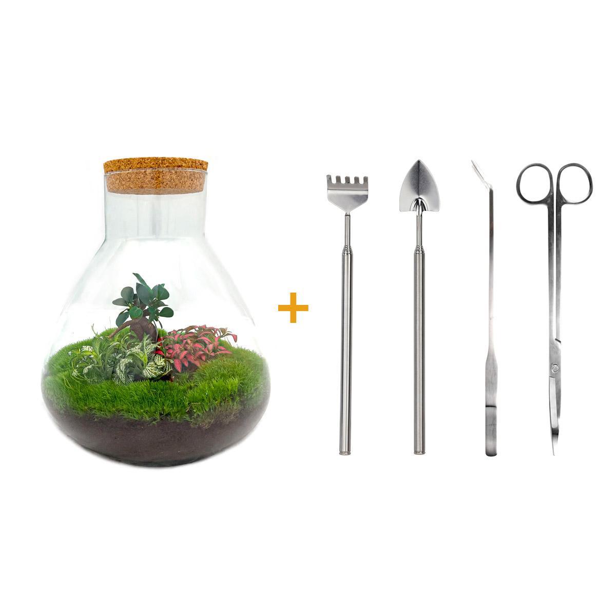 Flaschengarten - Sam XL Bonsai - ↕ 35 cm - Rake + Shovel + Tweezer