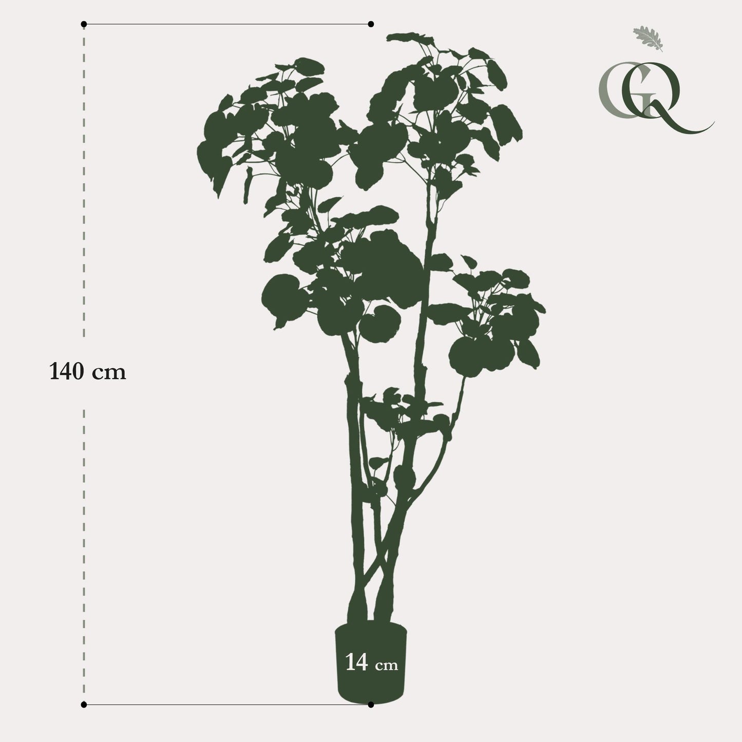 Kunstpflanze - Polyscias - Aralia - 140 cm