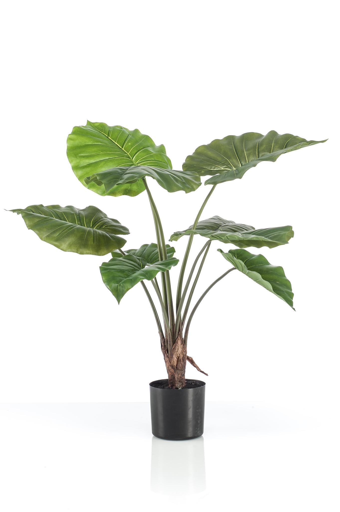 Kunstpflanze Alocasia - 70 cm Höhe - Kompakte Kunstpflanze für stilvolle Innenräume