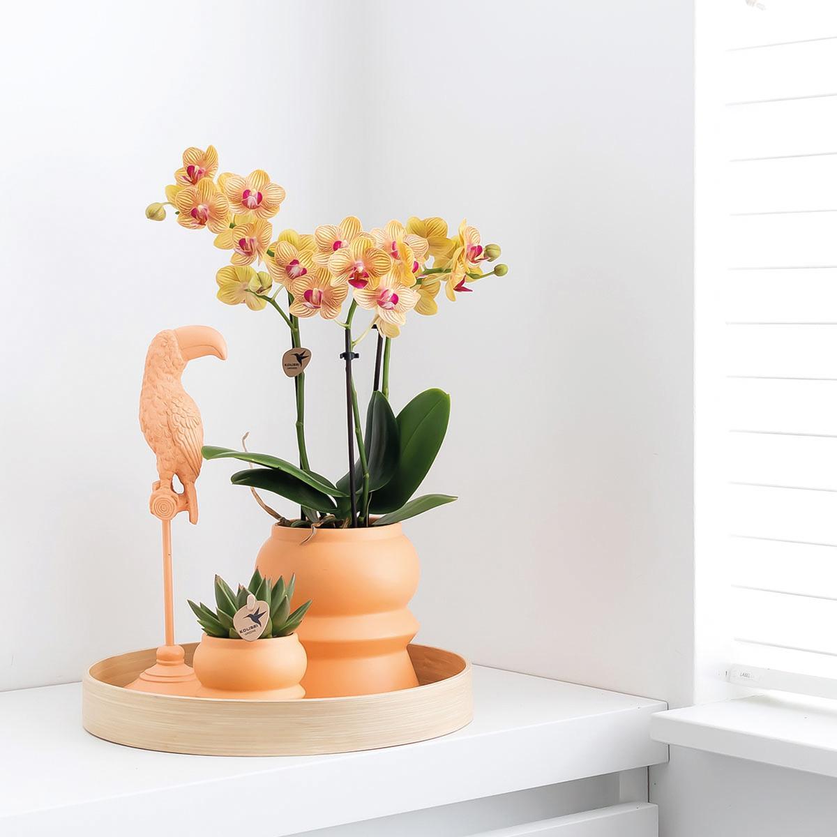 Kolibri Home | Ornament - Deko-Skulptur Tukan - Peach