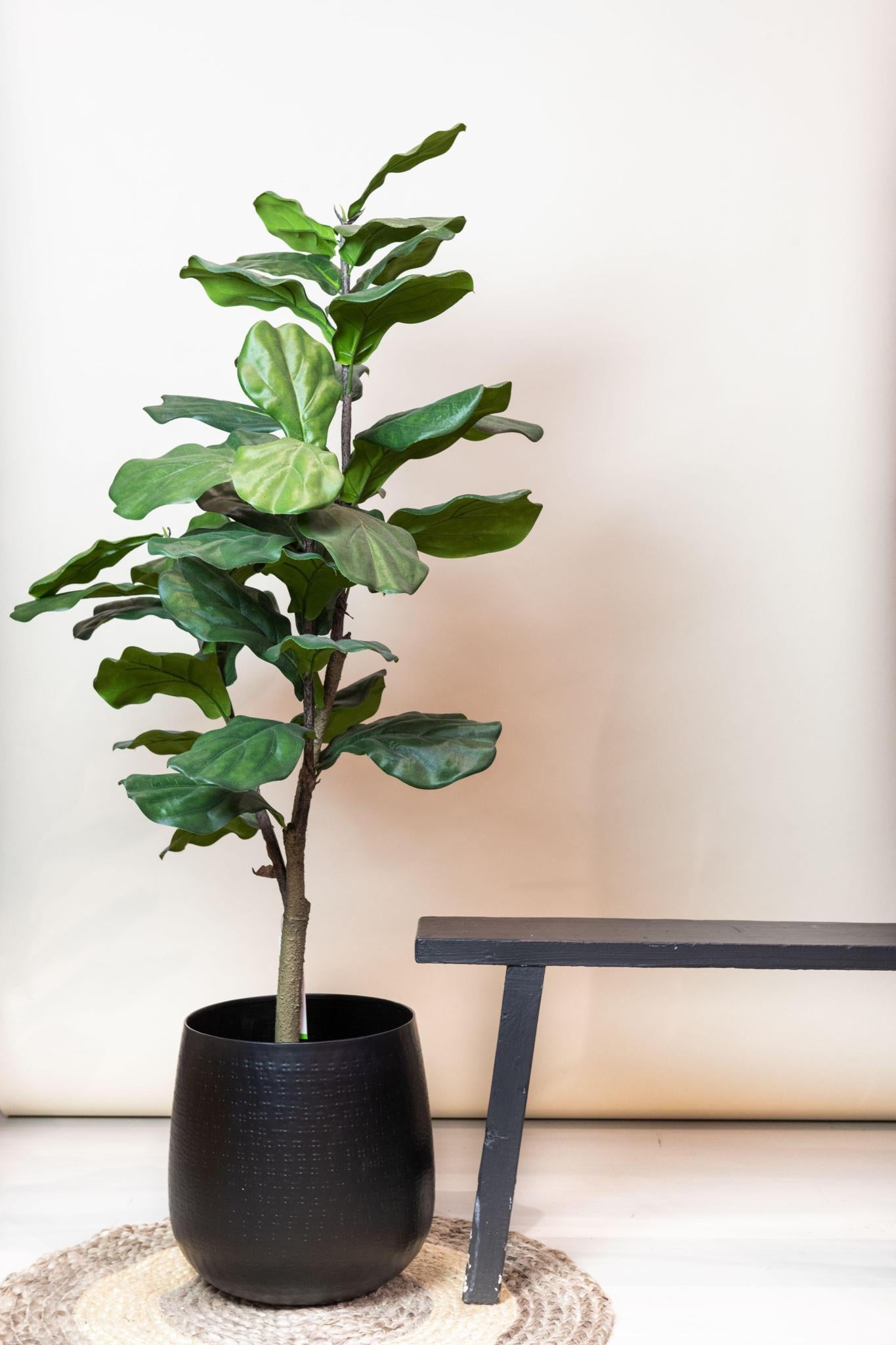 Kunstpflanze Ficus Lyrata - Tabakspflanze - 125 cm Höhe - Pflegeleichte Kunstpflanze für moderne Innenräume