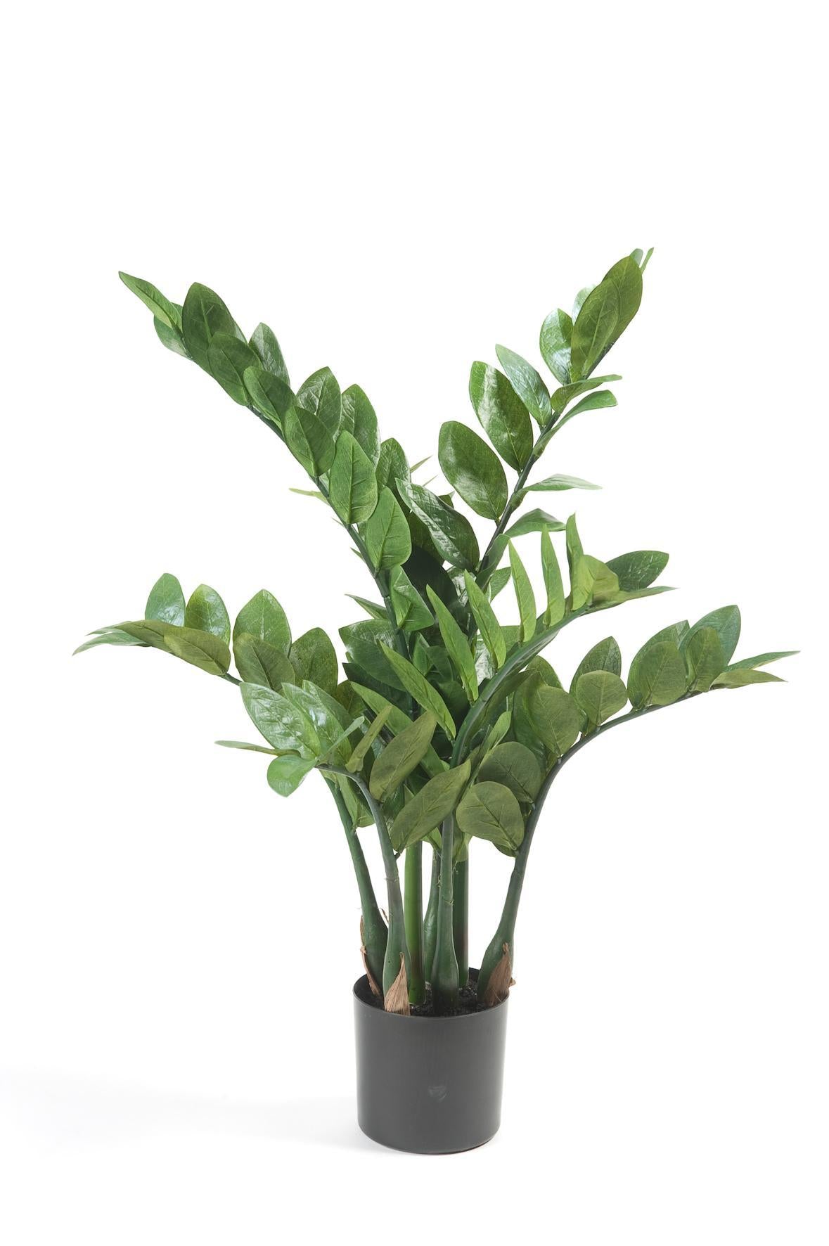 Kunstpflanze Zamioculcas - Zimmerpalme - 70 cm