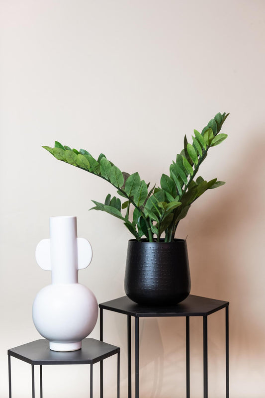 Kunstpflanze Zamioculcas - Zimmerpalme - 70 cm