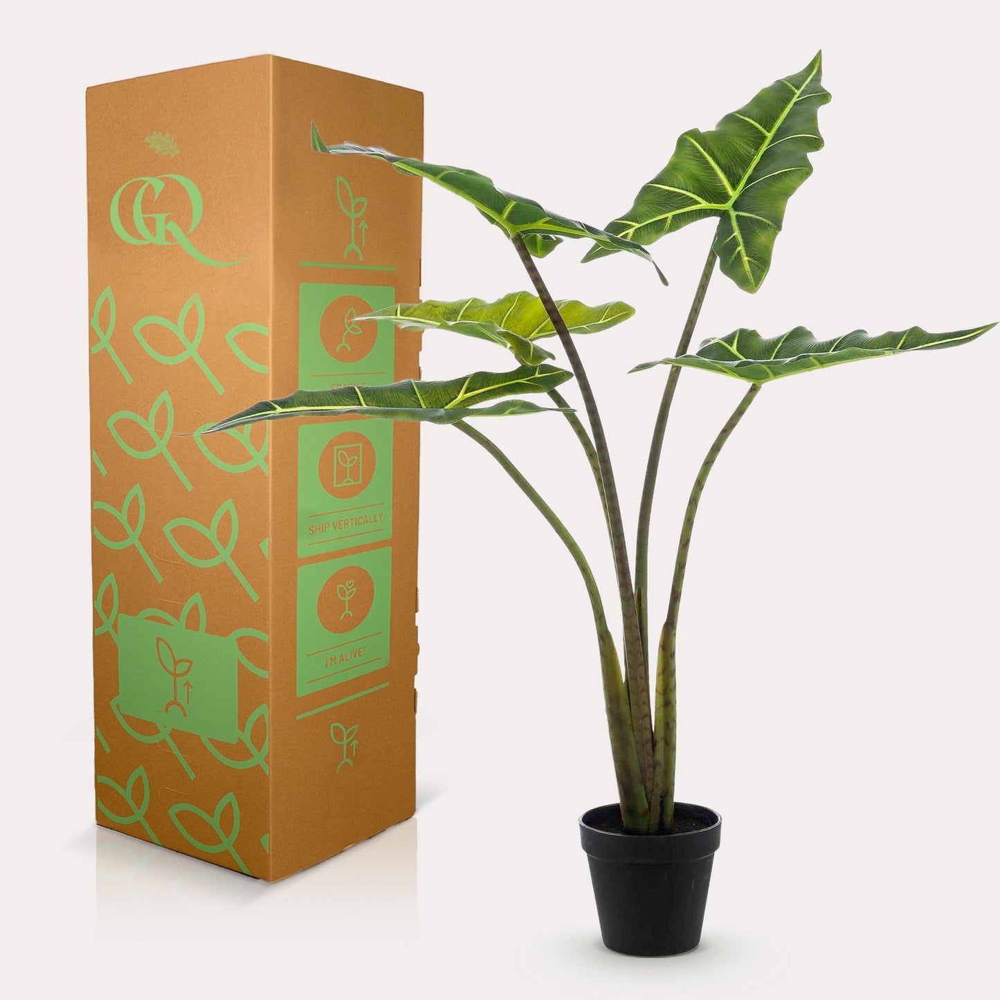 Kunstpflanze Alocasia Frydek - 80 cm Höhe - Elegante Kunstpflanze für moderne Innenräume