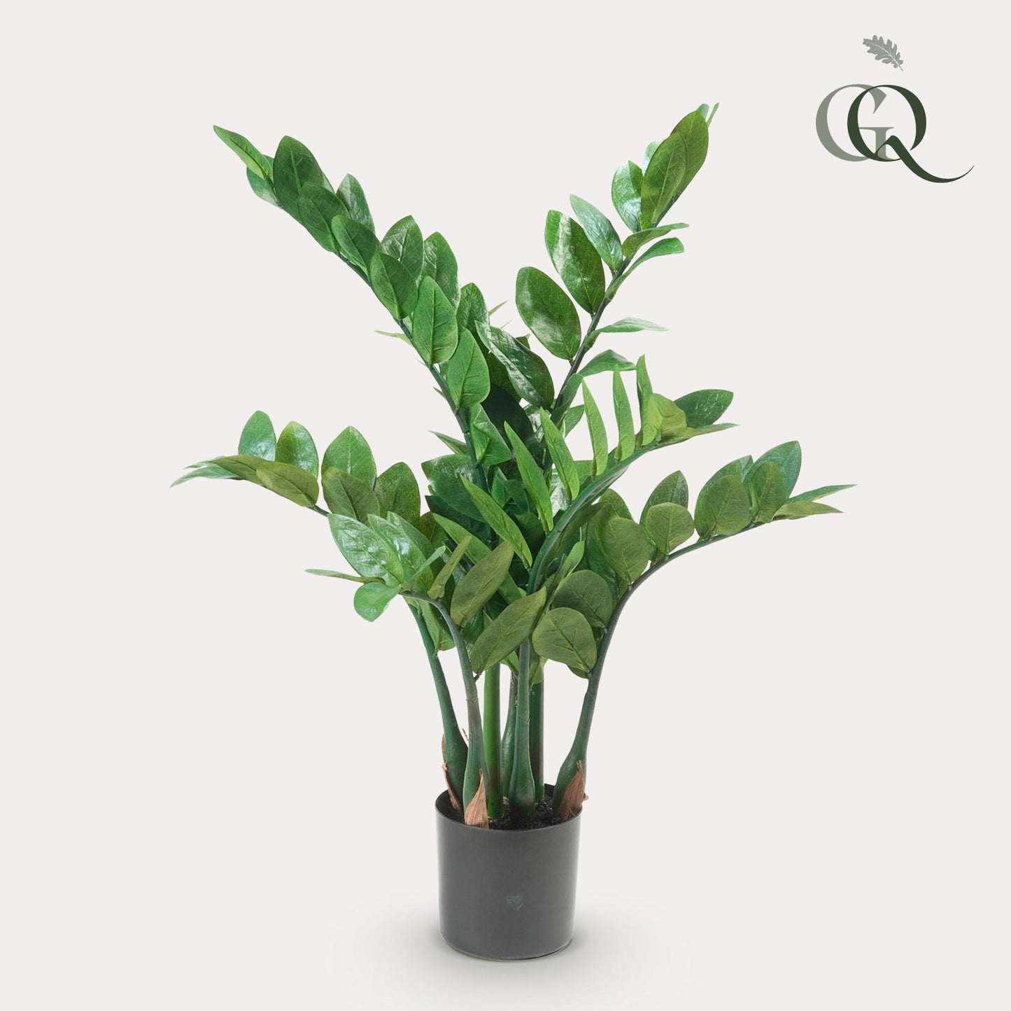 Kunstpflanze Zamioculcas - Zimmerpalme - 70 cm