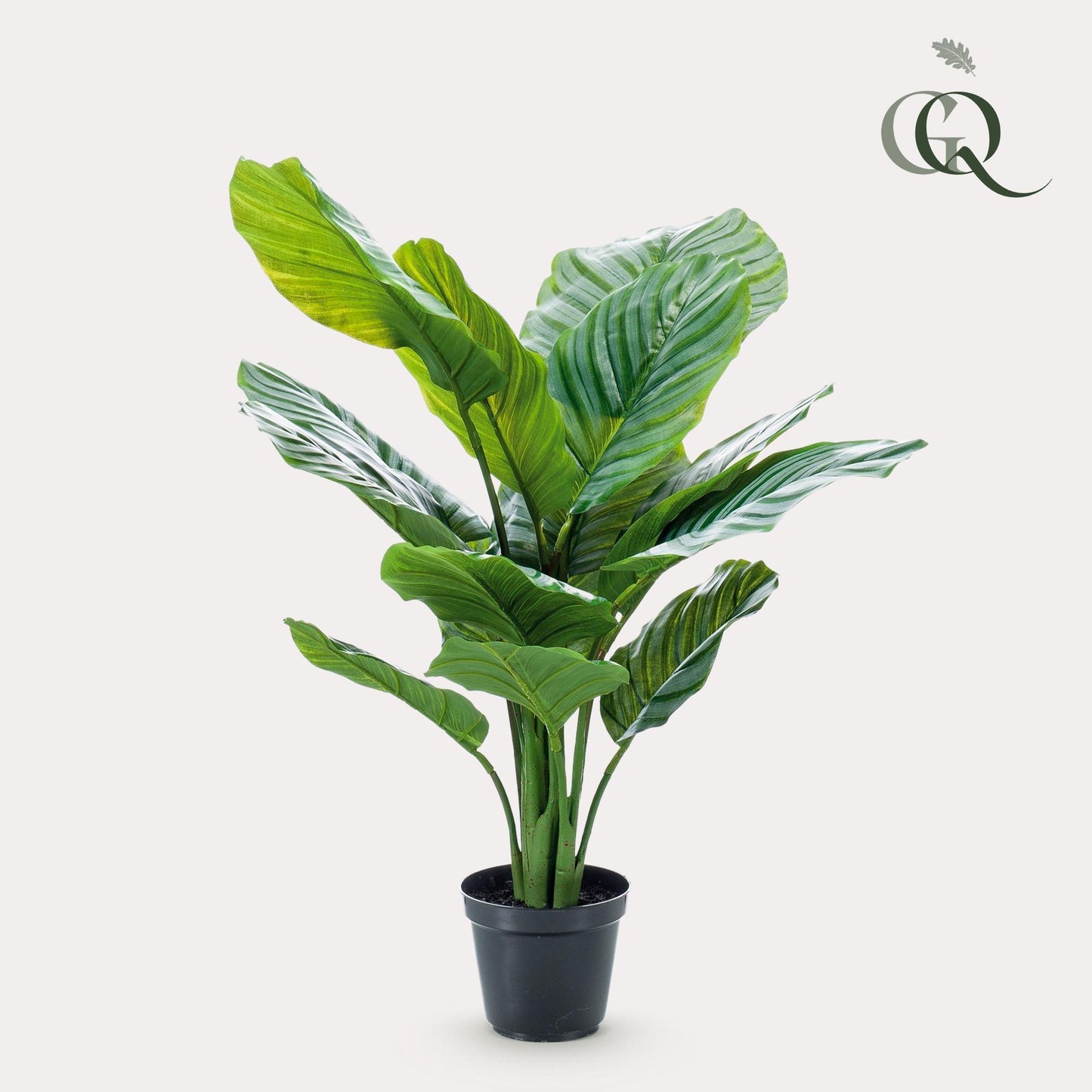 Kunstpflanze - Calathea Orbifolia - Schattigkeitspflanze - 60 cm