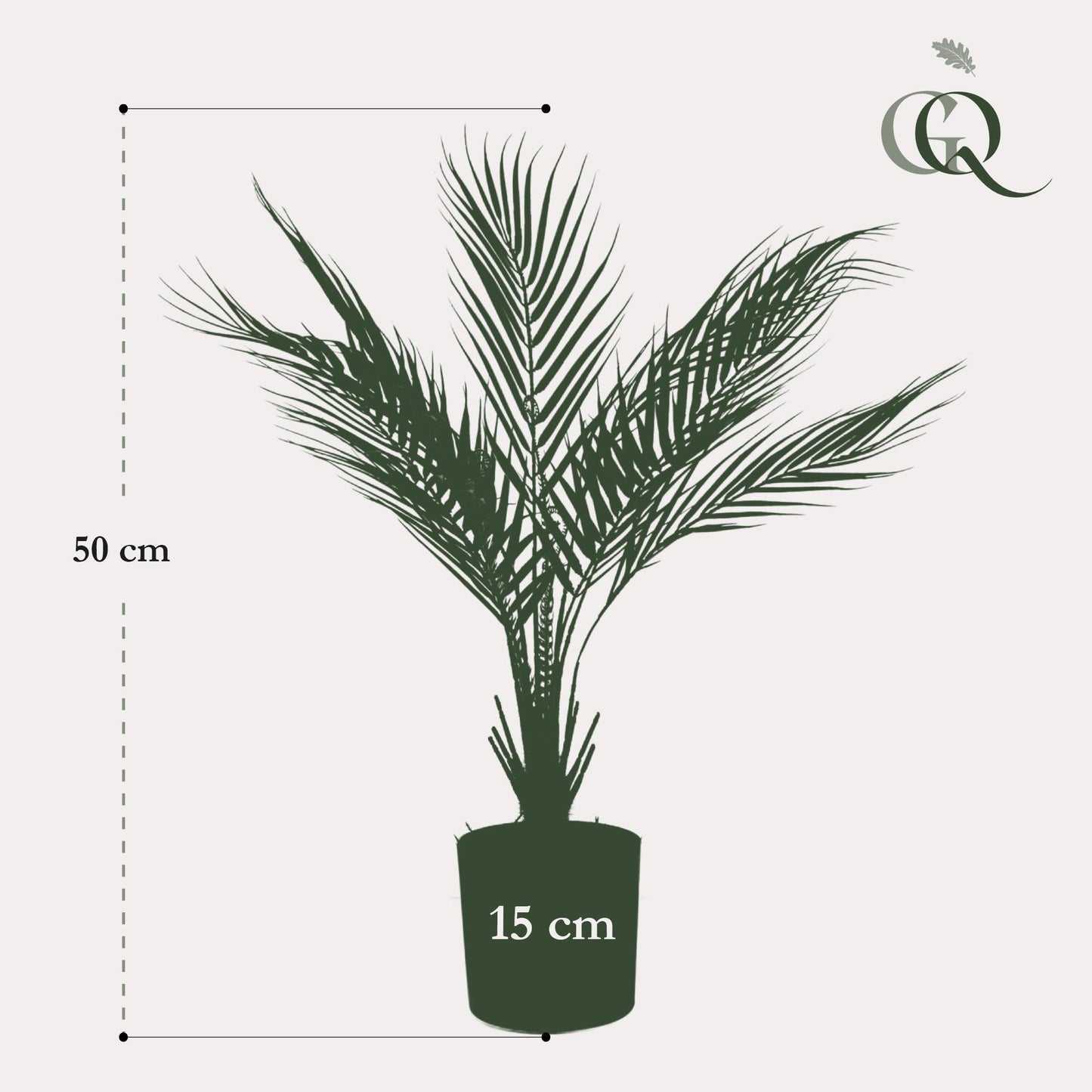 Kunstpflanze Chamaedorea Elegans - Bergpalme - 50 cm Höhe - Kleine Deko-Palme für Innenräume