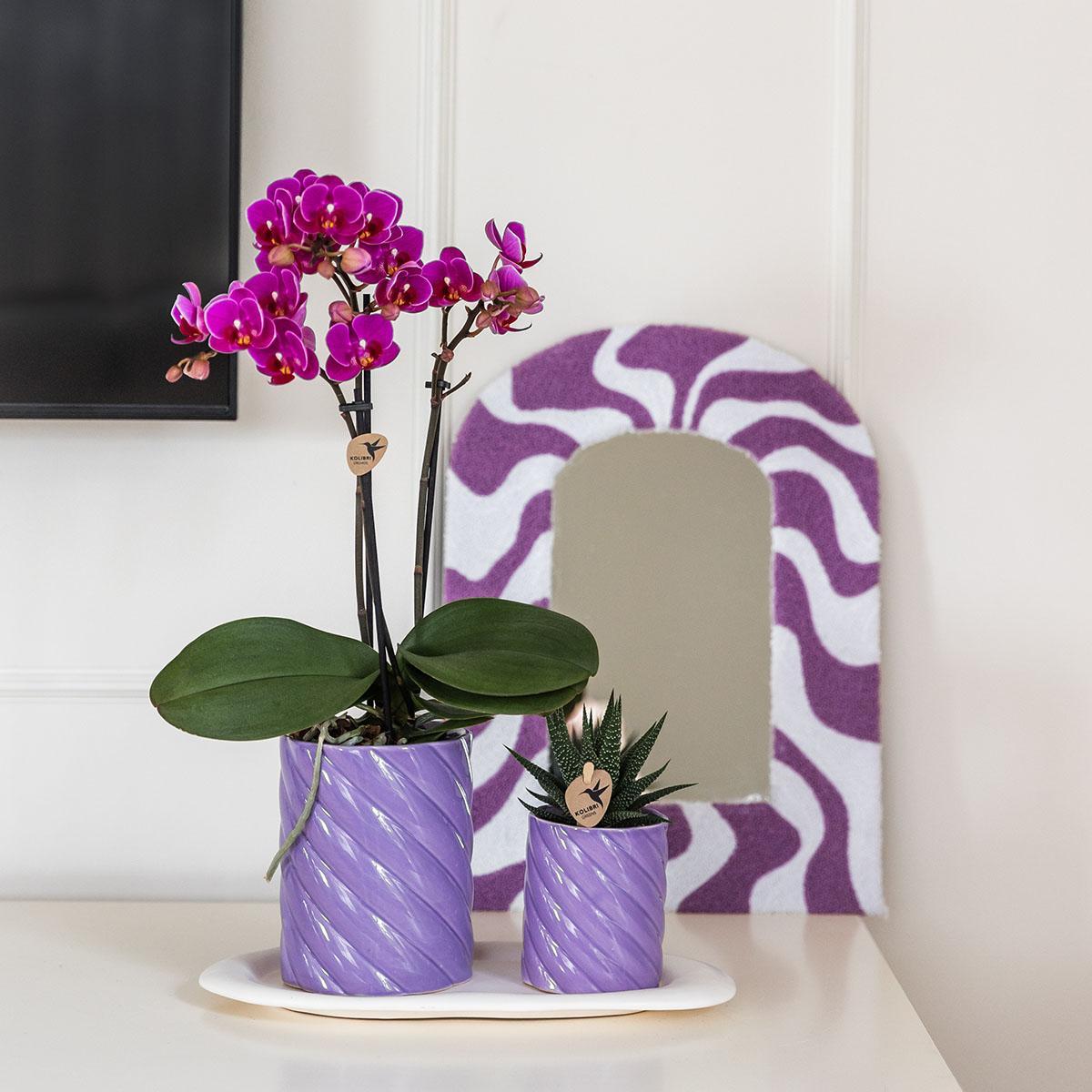 Kolibri Orchids | Geschenkset Optimismus Klein Lila | Grüne Pflanze mit orangefarbener Phalaenopsis Orchidee in Candy Zierpflanzentöpfen auf weißem organischen Tablett