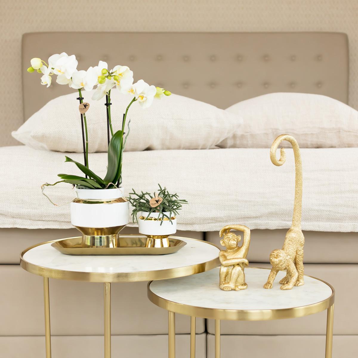 Kolibri Home | Le Chic Blumentopf - Weißer dekorativer Keramiktopf mit goldenen Details - Ø9cm