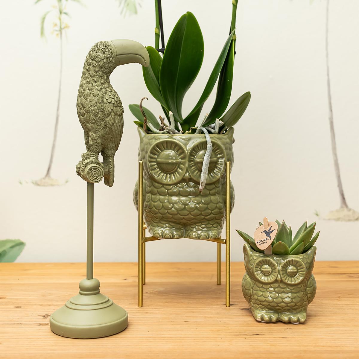 Kolibri Home | Ornament - Deko-Skulptur Tukan - Green