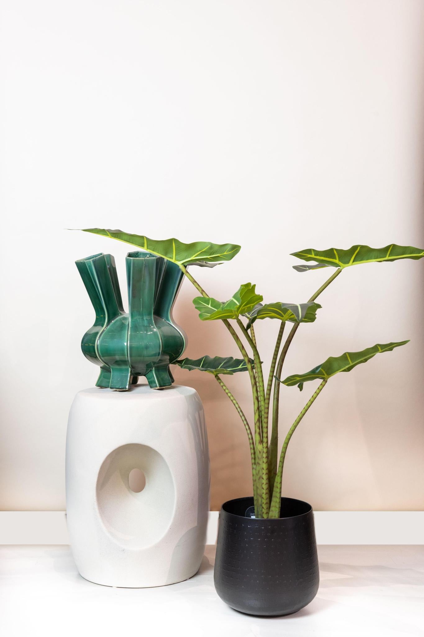 Kunstpflanze Alocasia Frydek - 80 cm Höhe - Elegante Kunstpflanze für moderne Innenräume